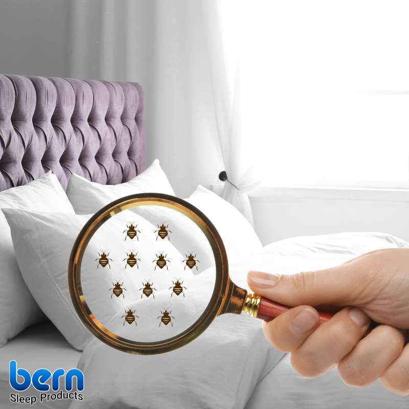 روش‌های جلوگیری از نفوذ ساس به تشک