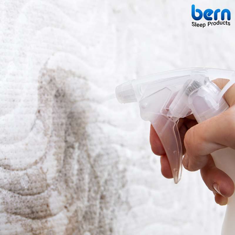 شستشوی منظم تشک با محلول مخصوص برای حفظ بهداشت و سلامت خواب