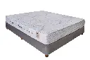 زوما1.webp