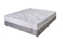 زوما3.webp