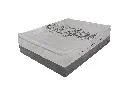 Jasper plus 2.webp