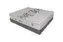 Jasper plus 1.webp