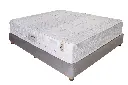 گلدن برن1.webp