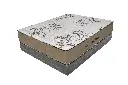 Hard Orthopedic 2.webp