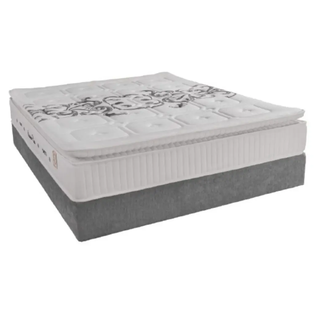 Casper-plus-1 (1).webp