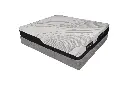 bern-3z-plus-1.webp