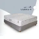 تشک خارجی مونتاژ گلدن برن  2025