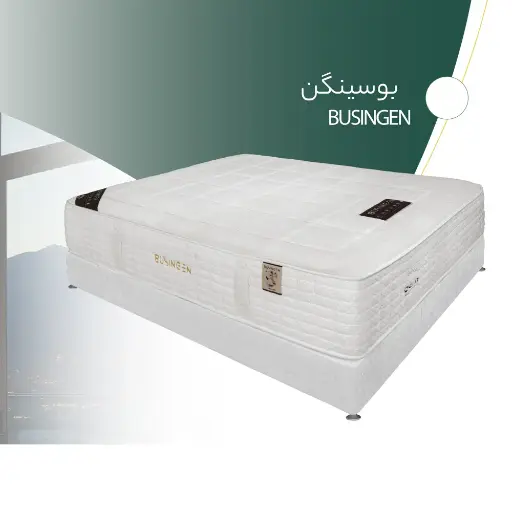 تشک بوسین گین