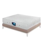 تشک اسلیپ پلاس