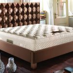 تشک رویال تی