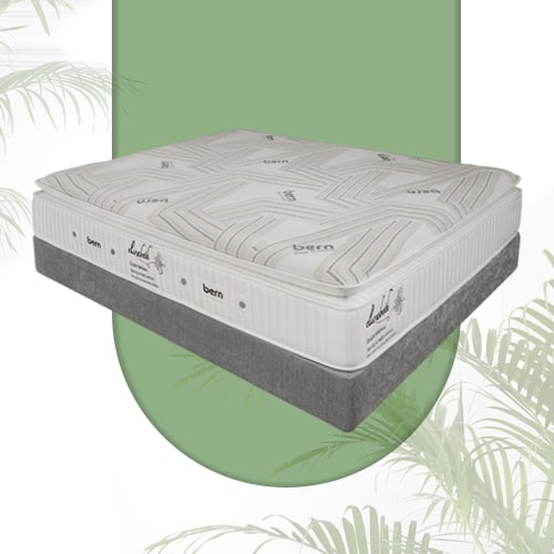 تشک متوسط برن