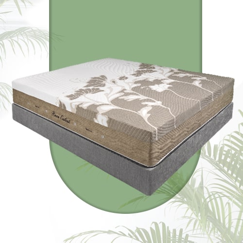 تشک مناسب دردهای عضلانی برن