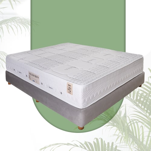 تشک مناسب گودی کمر برن